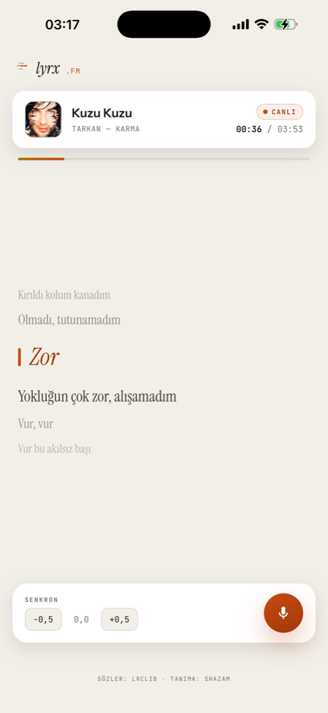 3. adım: söyle